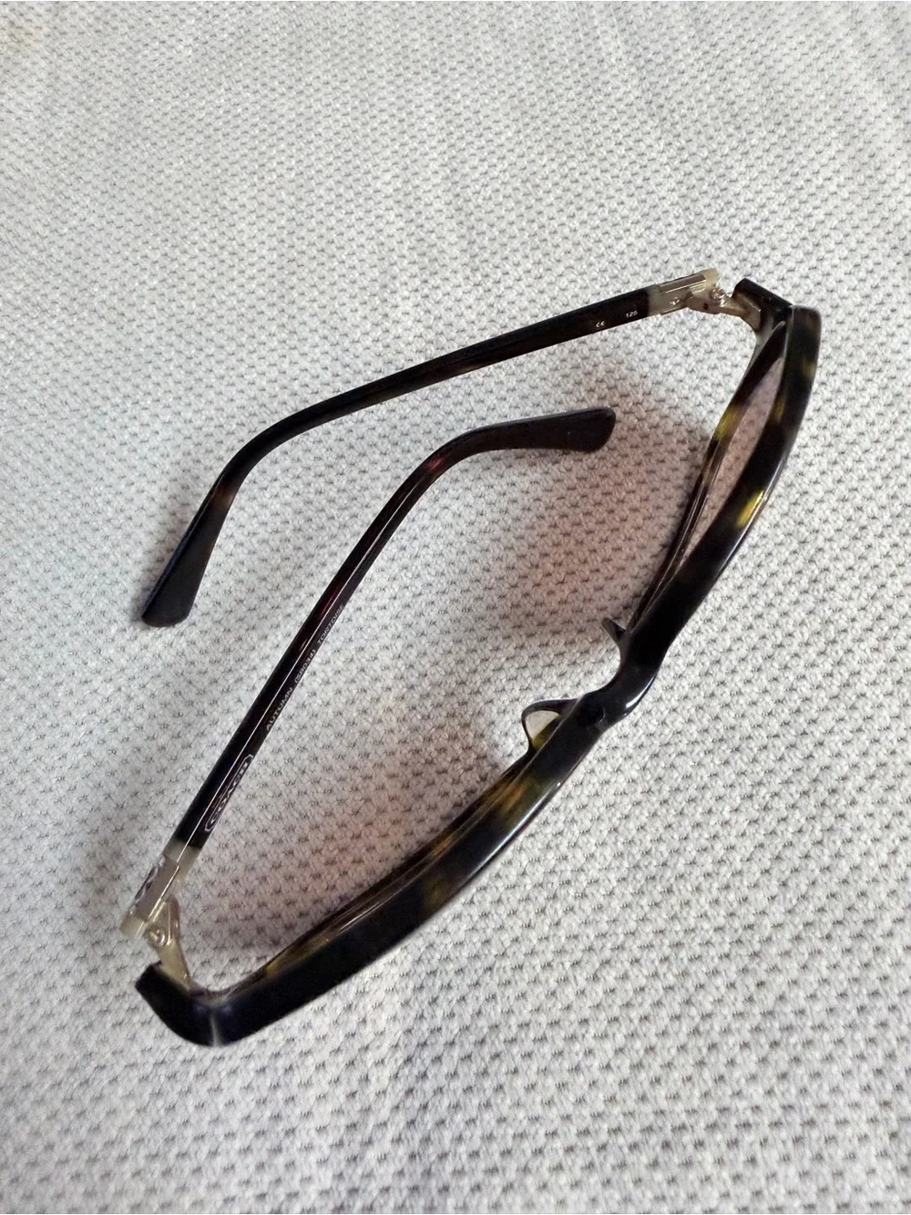 Coach Autumn S8034 Tortoise Brown Gradient Sunglasses Women’s